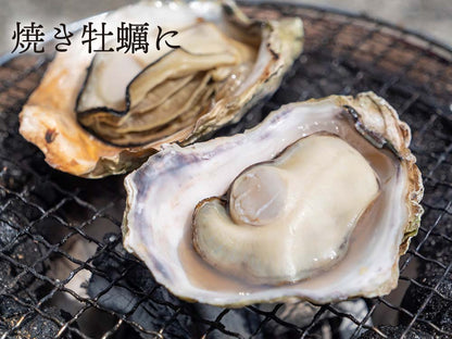 本場広島のプレミアム牡蠣「かき小町」Ｌサイズ