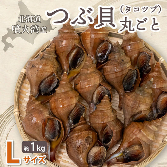 北海道・噴火湾産つぶ貝（タコツブ）生・殻付き1kg　Lサイズ/2Lサイズ/3Lサイズ