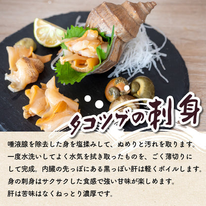 北海道・噴火湾産つぶ貝（タコツブ）生・殻付き1kg　Lサイズ/2Lサイズ/3Lサイズ