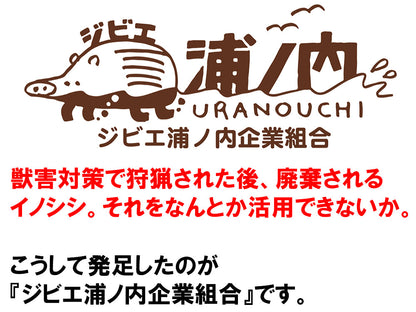【さっぱり猪肉お徳用 脂少なめ赤身】切落し200g×6パック　計1.2kg