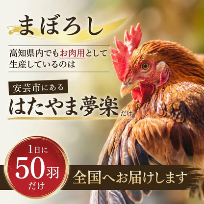 【高知県産地鶏】土佐ジロー １羽 正肉セット【500g以上】