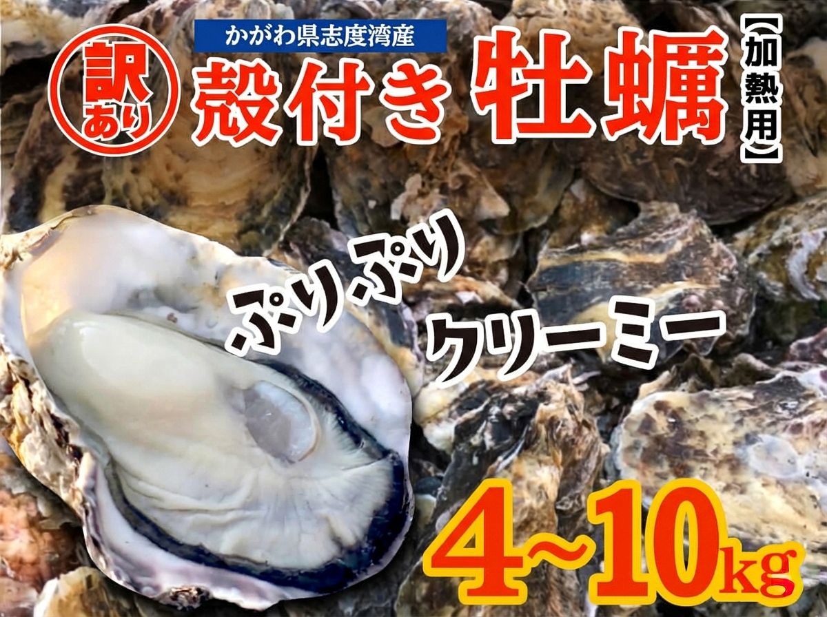 【3/23最終受付】【訳あり】不揃い殻付きカキ 約4kg / 約10kg【香川県・志度湾産】