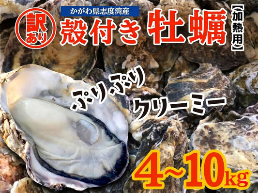 【3/23最終受付】【訳あり】不揃い殻付きカキ 約4kg / 約10kg【香川県・志度湾産】