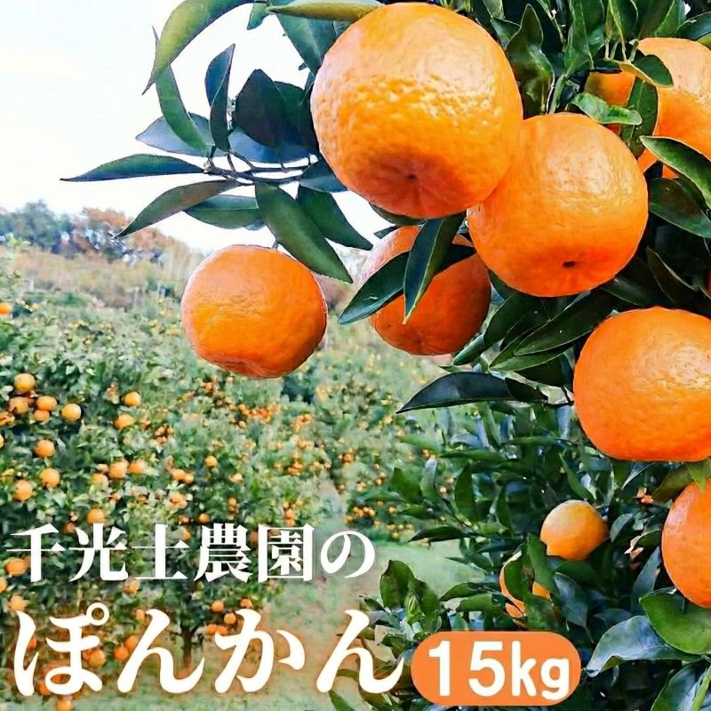 家庭用 高知県産ポンカン サイズ混合 1.7～15kg – 高知かわうそ市場