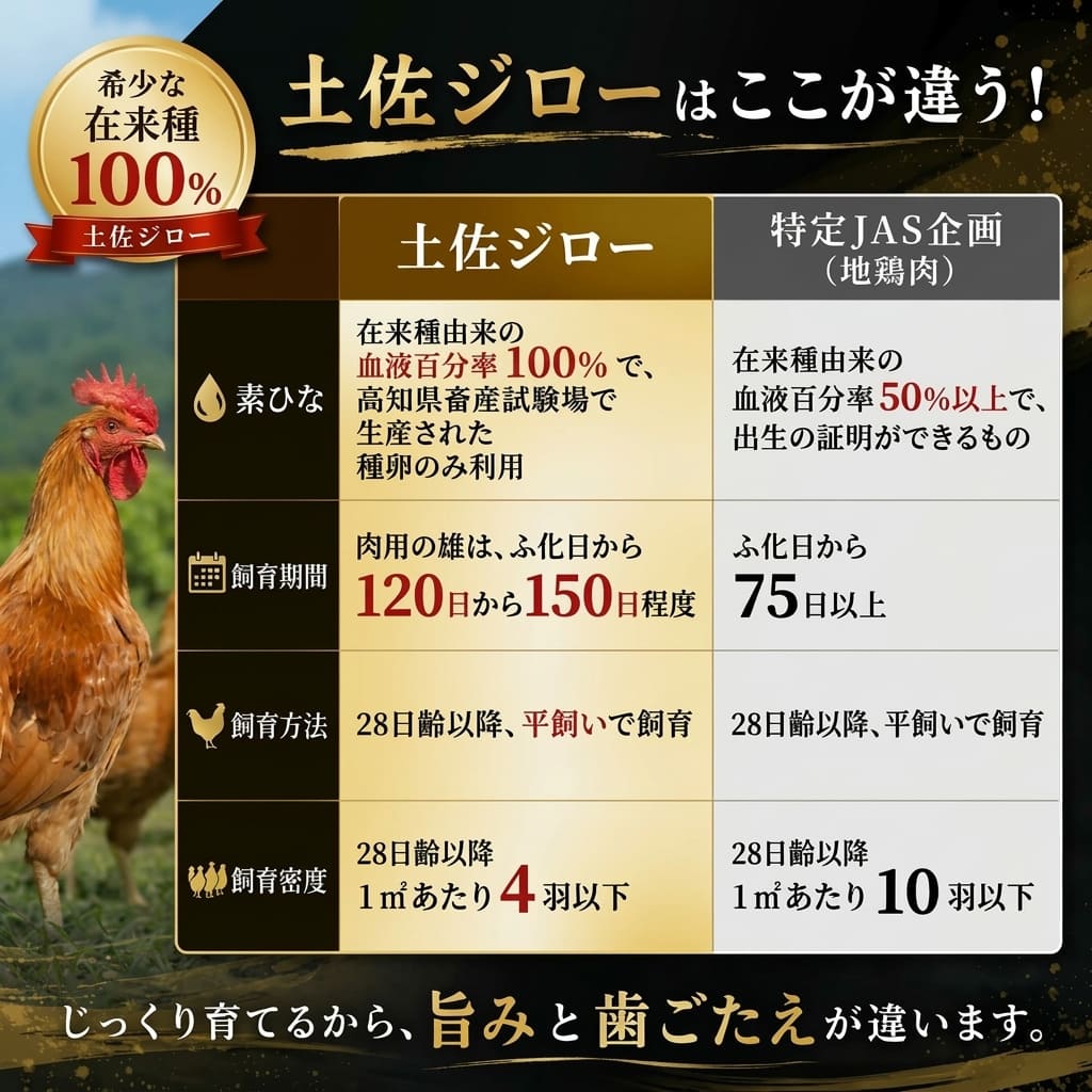 【高知県産地鶏】土佐ジロー １羽 正肉セット【500g以上】