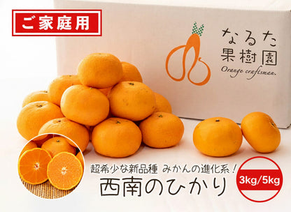 【今季1月末受付〆切予定】超希少な新品種みかん　西南のひかり 3kg/5kg【高知県宿毛市・なるた果樹園】【柑橘】