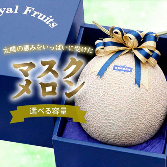 高級マスクメロン 1個 / 2個セット