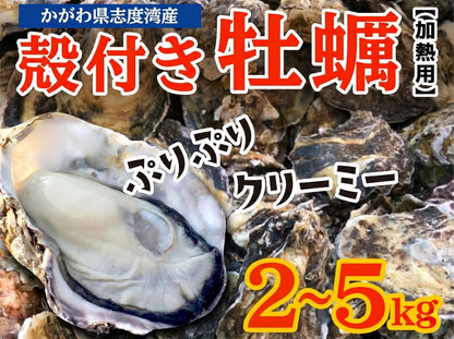 【3/15最終受付】殻付きカキ 約2kg / 約5kg【香川県・志度湾産】