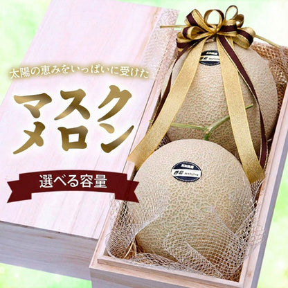 桐箱入りマスクメロン 1個 / 2個セット