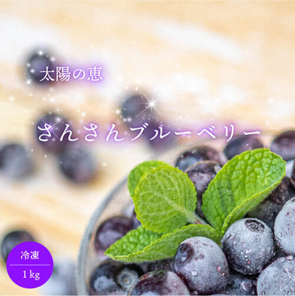 太陽の恵　さんさんブルーベリー 冷凍ブルーベリー１ｋｇ