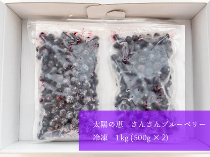 太陽の恵　さんさんブルーベリー 冷凍ブルーベリー１ｋｇ