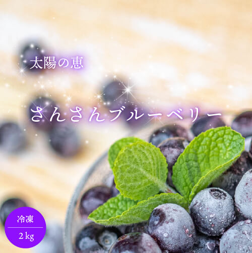 太陽の恵　さんさんブルーベリー　冷凍 ブルーベリー２ｋｇ