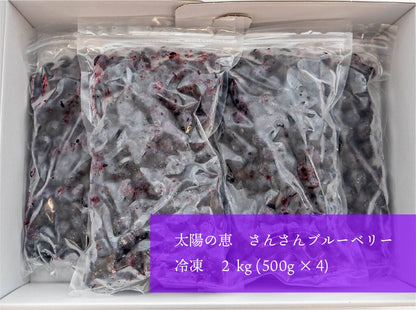 太陽の恵　さんさんブルーベリー　冷凍 ブルーベリー２ｋｇ