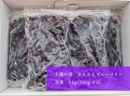 太陽の恵　さんさんブルーベリー 冷凍 ブルーベリー３ｋｇ