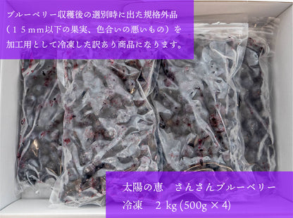 太陽の恵　さんさんブルーベリー （訳あり）冷凍 ブルーベリー２ｋｇ