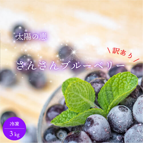 太陽の恵　さんさんブルーベリー （訳あり）冷凍 ブルーベリー３ｋｇ