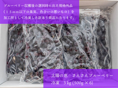 太陽の恵　さんさんブルーベリー （訳あり）冷凍 ブルーベリー３ｋｇ