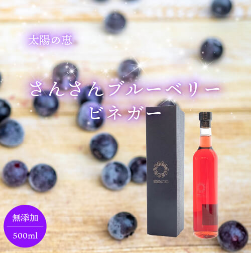 太陽の恵　さんさんブルーベリー ヴィネガー黒酢入り