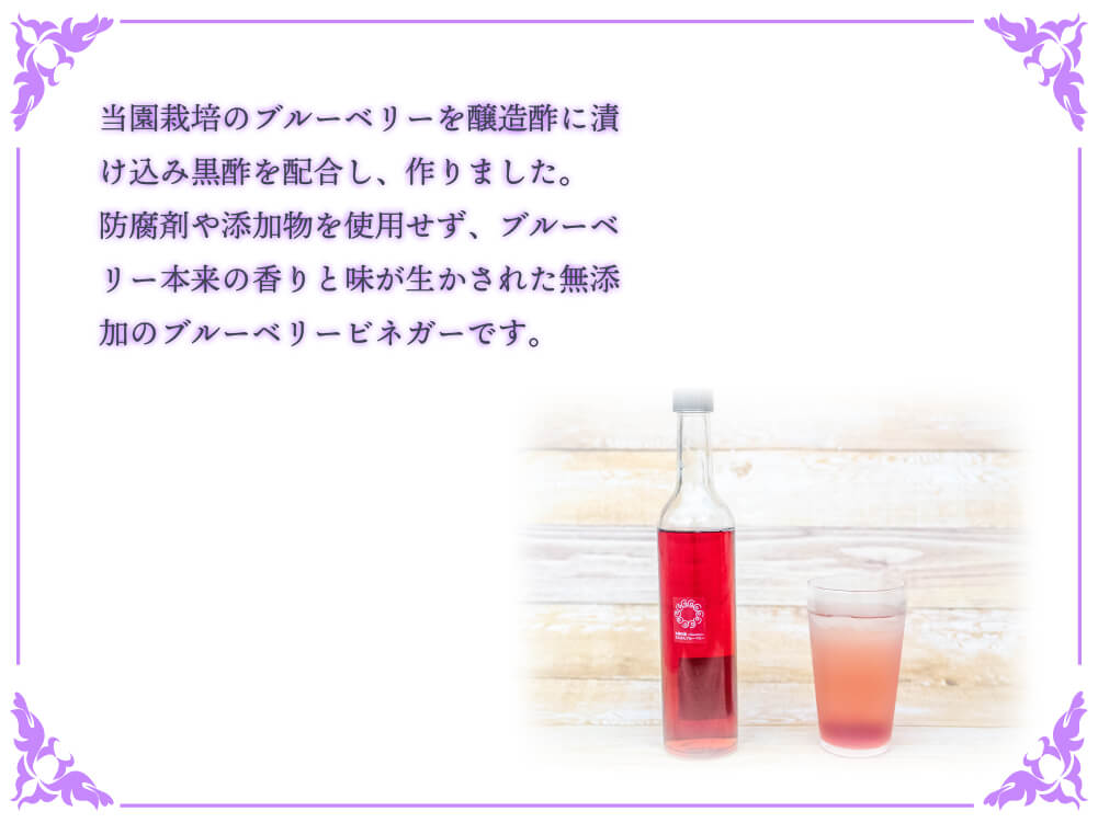 太陽の恵　さんさんブルーベリー ヴィネガー黒酢入り