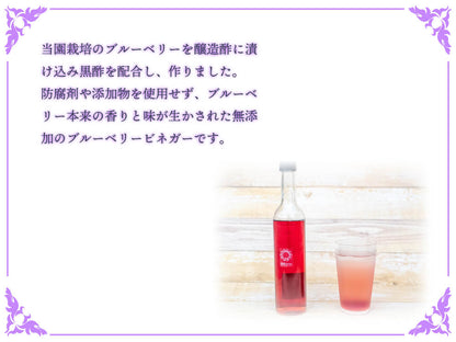 太陽の恵　さんさんブルーベリー ヴィネガー黒酢入り