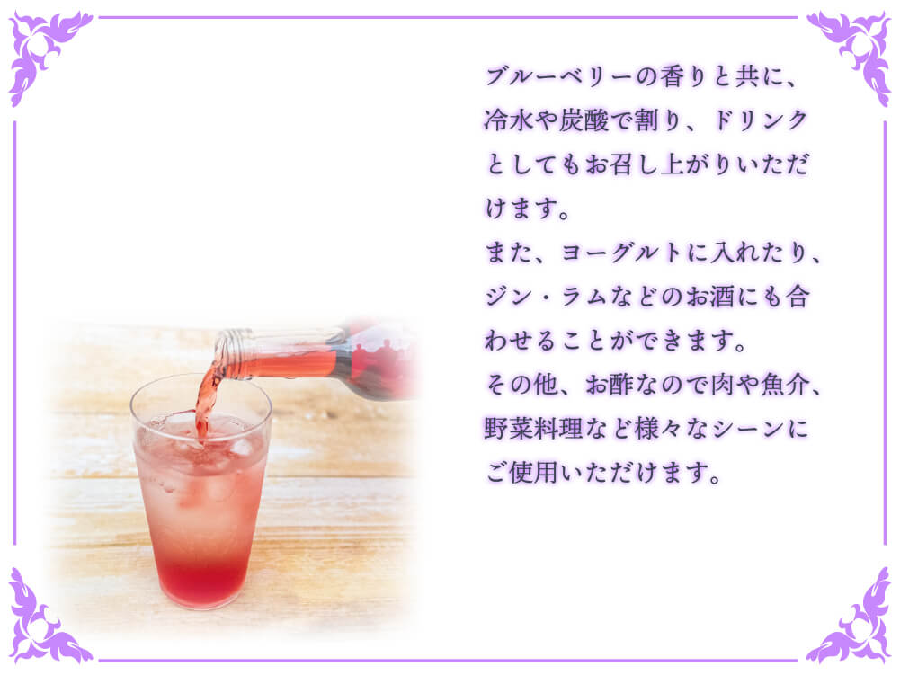 太陽の恵　さんさんブルーベリー ヴィネガー黒酢入り