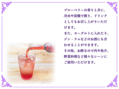 太陽の恵　さんさんブルーベリー ヴィネガー黒酢入り