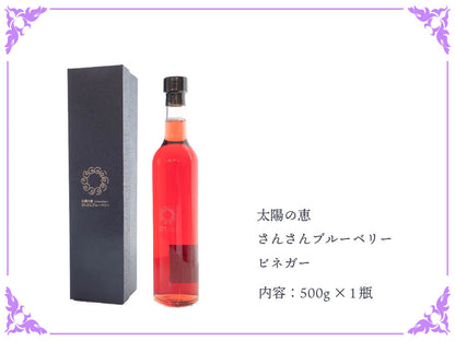 太陽の恵　さんさんブルーベリー ヴィネガー黒酢入り