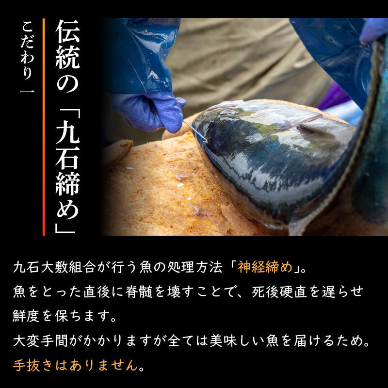 【高知県・須崎産】朝獲れ！船上神経締め鮮魚ボックス 魚種　3〜5種【九石大敷組合】【日付指定不可】