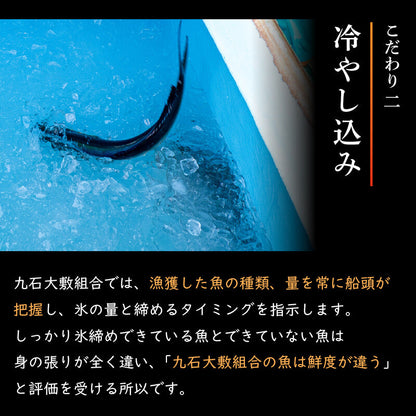 【高知県・須崎産】朝獲れ！船上神経締め鮮魚ボックス 魚種　3〜5種【九石大敷組合】【日付指定不可】