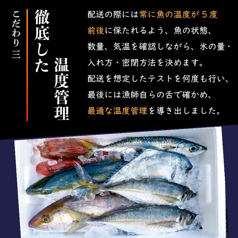 高知県・須崎産】朝獲れ！船上神経締め鮮魚ボックス 魚種 3〜5種