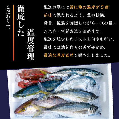 【高知県・須崎産】朝獲れ！船上神経締め鮮魚ボックス 魚種　3〜5種【九石大敷組合】【日付指定不可】
