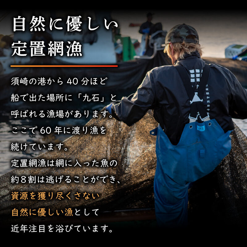 【高知県・須崎産】朝獲れ！船上神経締め鮮魚ボックス 魚種　3〜5種【九石大敷組合】【日付指定不可】