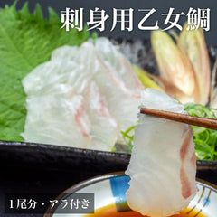 乙女鯛（おとめだい）1尾分　お刺身用柵 アラ付き【鮮魚】