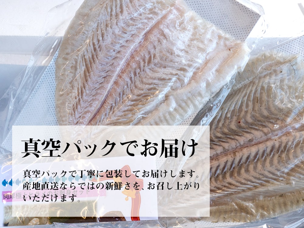 ヒラメ1尾分　お刺身用柵【鮮魚】