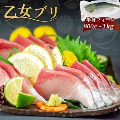 乙女ブリ 半身　カマ・皮付きフィーレ 800g〜1kg