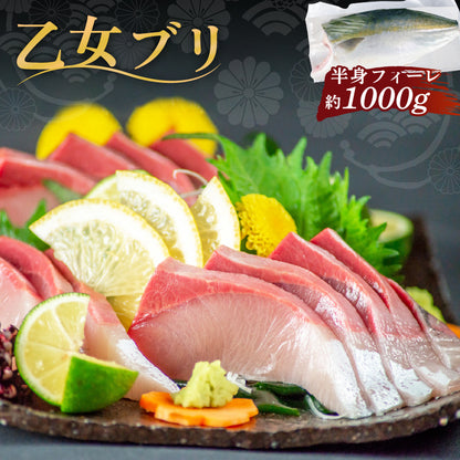 乙女ブリ 半身　カマ・皮付きフィーレ 700g〜1000g