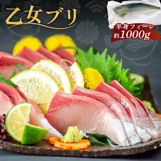 乙女ブリ 半身　カマ・皮付きフィーレ 700g〜1000g