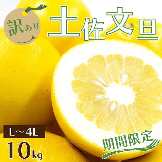 【予約・2月より順次出荷】土佐文旦10kg　訳あり【高知県須崎市・黒潮農園】【柑橘】