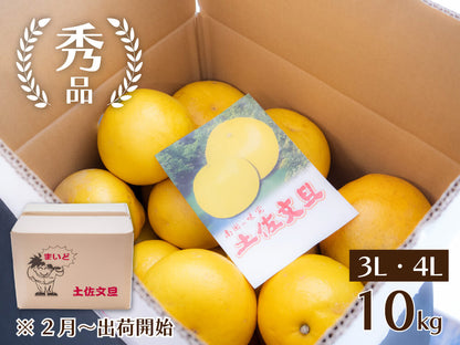 【予約・2月より順次出荷】土佐文旦10kg　秀品【高知県須崎市・黒潮農園】【柑橘】
