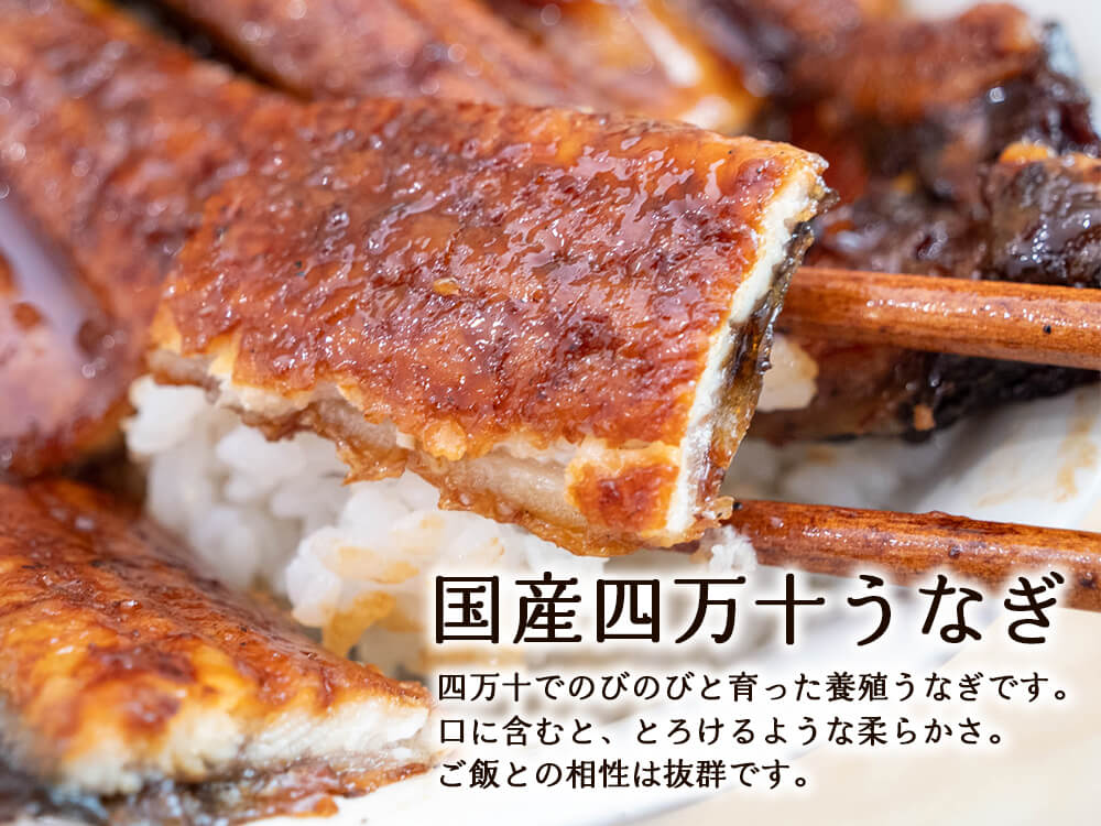 うなぎ&うつぼセット大(うなぎ3本・うつぼ2パック・ポン酢2本セット）