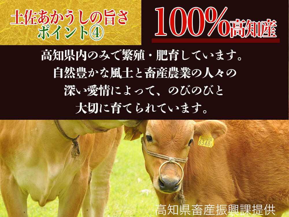 【希少和牛・土佐あかうし】すき焼き用　サーロイン400g