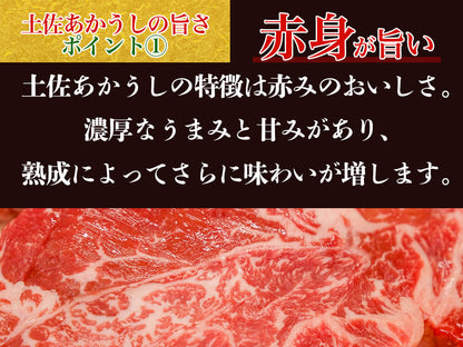 【希少和牛・土佐あかうし】ステーキ用　サーロイン200g×2枚