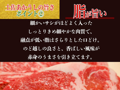 【希少和牛・土佐あかうし】ステーキ用　サーロイン200g×2枚