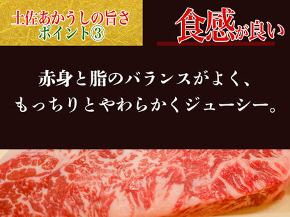 【希少和牛・土佐あかうし】ステーキ用　サーロイン200g×2枚