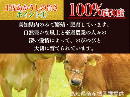 【希少和牛・土佐あかうし】ステーキ用　サーロイン200g×2枚