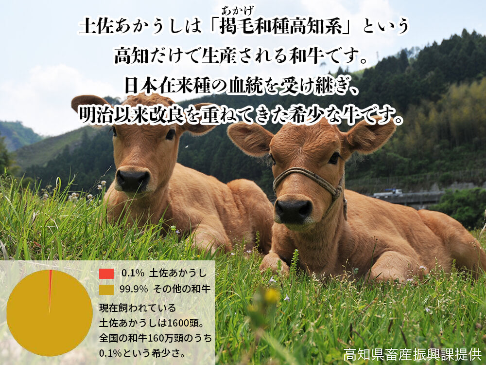 【希少和牛・土佐あかうし】ステーキ用　サーロイン200g×2枚