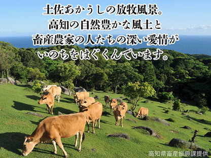 【希少和牛・土佐あかうし】お得なコマ肉 600g