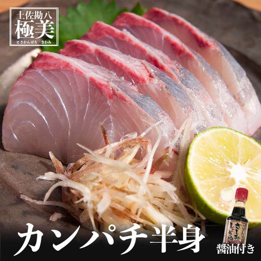 高知県産カンパチ　土佐勘八“極美”（きわみ）　お刺身用　半身セット　醤油付【鮮魚】【カンパチ】