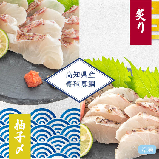 高知県産真鯛のゆず締め・炙りセット　１尾分