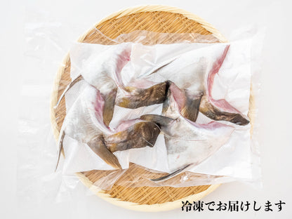 土佐勘八極美　カマ　4ケ入り【カンパチ】